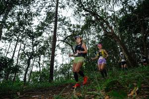 BIB: 
                            <button type="button" onclick="openModal(22560334)" class="btn btn-primary btn-sm float-right btn-popup" data-toggle="modal" data-target=".modal-high-quality">
                        <i class="fas fa-shopping-cart"></i> Add to Cart
                    </button>
                                            <button type="button" onclick="isThisMe(22560334, true)" class="btn btn-success btn-sm float-right btn-popup btn-isme hidden" data-toggle="tooltip" data-placement="bottom" title="นี่คือรูปของคุณใช่ไหม คลิกที่นี่เพื่อเอาเข้าอัลบั้ม">
                        <i class="fas fa-plus"></i> Add to album
                    </button>
                    <button type="button" onclick="isThisMe(22560334, false)" class="btn btn-warning btn-sm float-right btn-popup btn-isnotme hidden">
                        <i class="fas fa-ban"></i> Remove from album
                    </button>